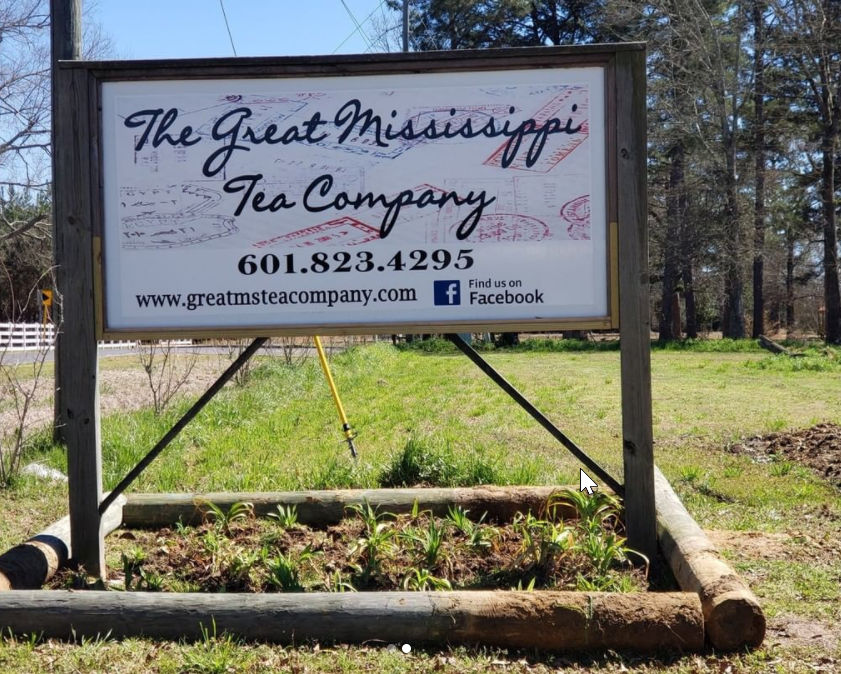 The Great Mississippi Tea&nbsp;Company