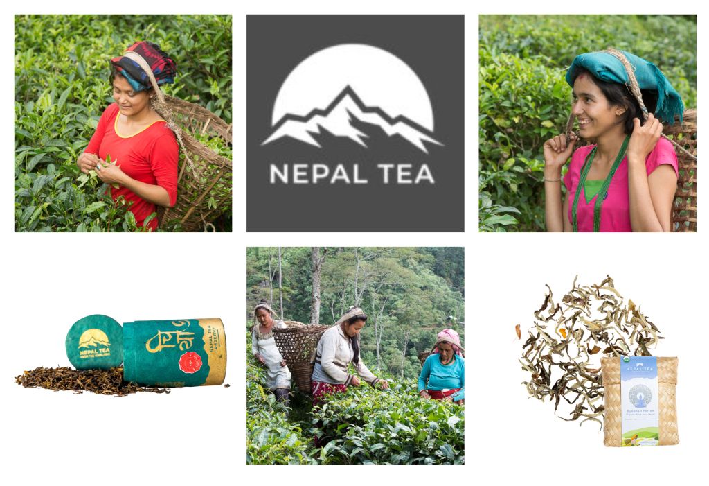 Nepal Tea Collective