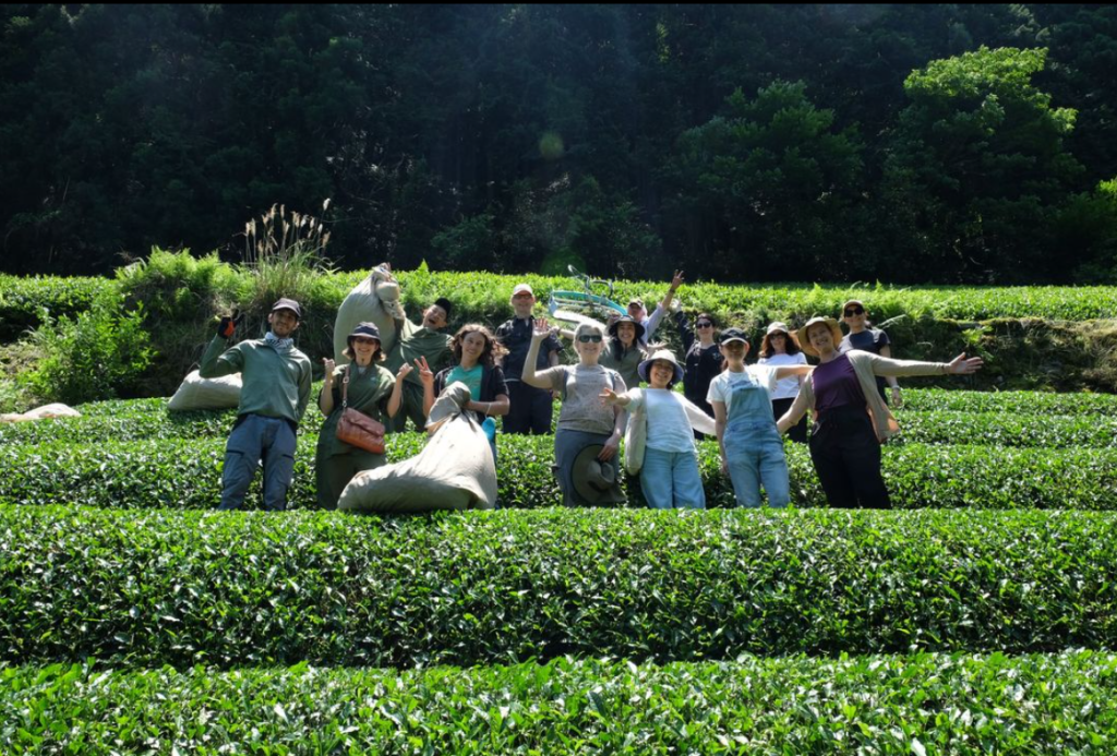 Global Japanese Tea&nbsp;Association
