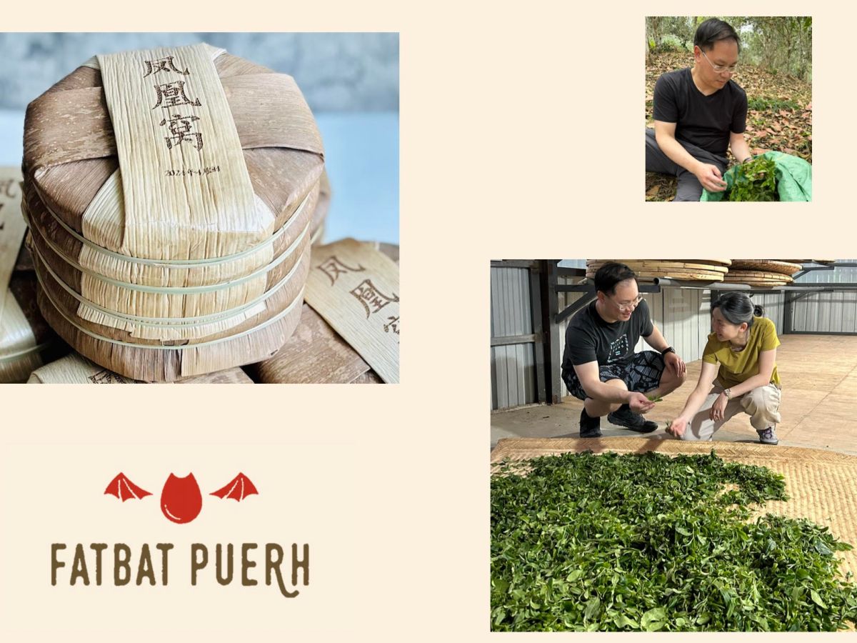 FatBat Puerh